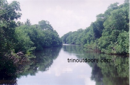 nariva swamp trinidad