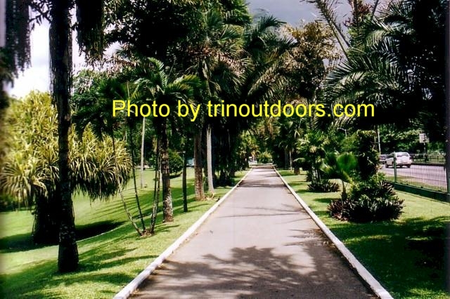 botanical_gardens_walkway.jpg (127602 bytes)