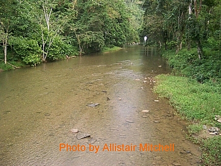 grande rivierie river compressed.jpg (195272 bytes)