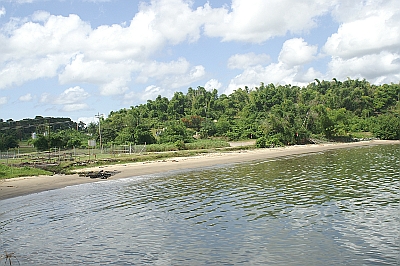 Guapo Bay