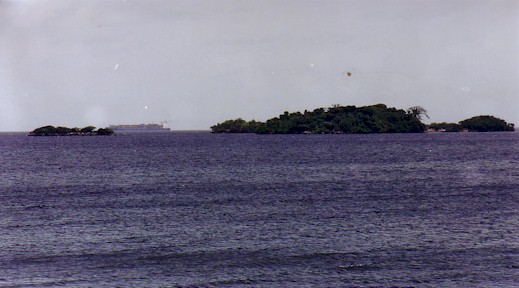 nelson island.jpg (40974 bytes)