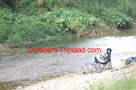 north oropouche river at valencia.jpg (102555 bytes)
