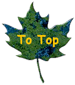 top icon.gif (6123 bytes)